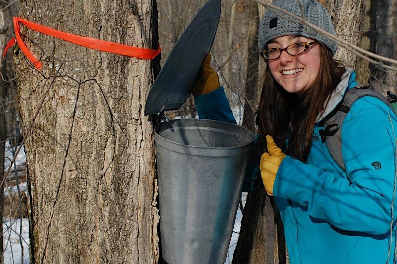 Maple Syrup Fest 2024 - Eagle Bluff Environmental Learning Center